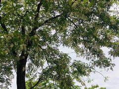 -成飞公园