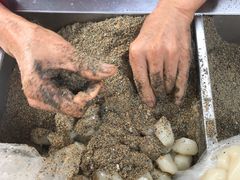 -叶氏麻糍(鼓浪屿店)