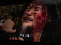 -飞扬影城(正佳IMAX店)