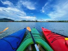 -芒洲湿地公园