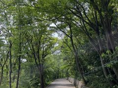 -紫金山山顶公园