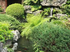 -新荣记(西溪湿地店)