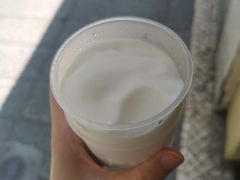 -洪馨椰子