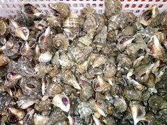 android_upload_pic-羊汤研究所(茶苑海口路店)