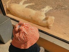 -杭州野生动物世界