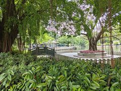 -荔枝公园(福田区)