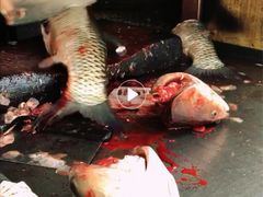 -梅记大块头爆鱼店(乍浦路店)