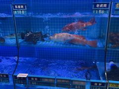 -启东小海鲜(庄先湾路1号店)
