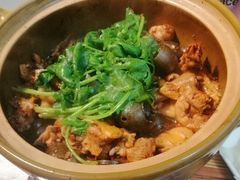 -食爺炭炉鸡煲·烧烤