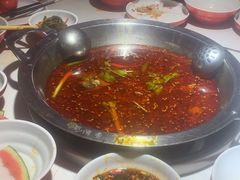 -蜀滋香鲜鱼美蛙火锅(339店)