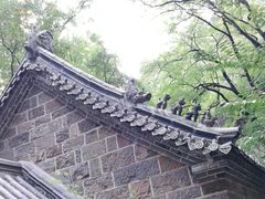 -抱犊崮国家森林公园