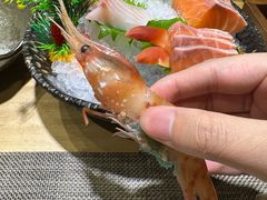 -左舞日本料理