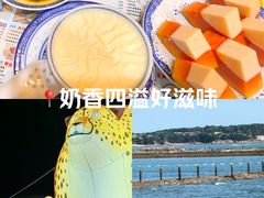 -广信牛奶甜品世家(台东店)