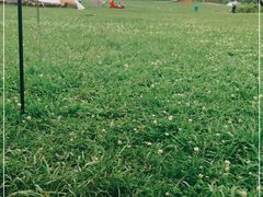 -云漫湖生态度假公园