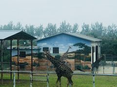 -西安秦岭野生动物园