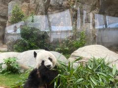 -香港海洋公园