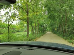 -百味园土菜馆(迎宾东路店)
