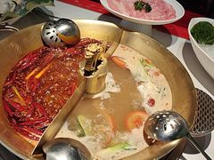 -小龙翻大江文化火锅(宽窄店)