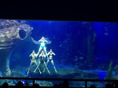 -多彩贵州城极地海洋世界