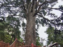 -终南山南五台景区