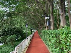 -云溪植物园