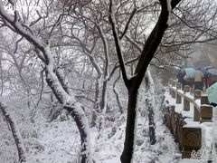 -灵岩山风景区