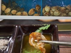 -海抱猪