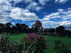 -云禾壹海景庄园餐厅