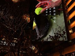 -桂满陇·海市蜃楼·黑金(国金店)