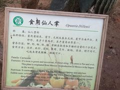 android_upload_pic-上海都市菜园