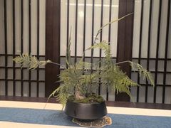 -春发生饭店·非遗(南院门店)