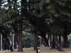 -人民公园(罗湖区)