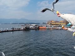 -海埂大坝