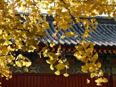 -承恩寺