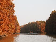 -上海海湾国家森林公园