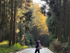 -山王坪喀斯特国家生态公园