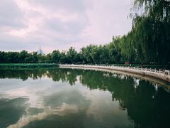 -莲花池公园