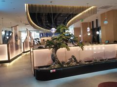 -马家斑.鲜鱼火锅(松湖万科店)