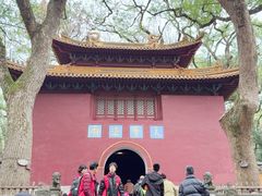 -普陀山风景名胜区-法雨禅寺