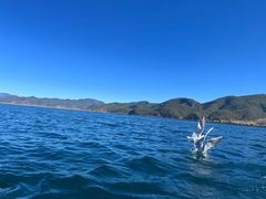 -丽江泸沽湖景区