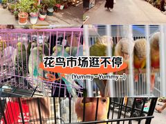 -哈尔滨道外花鸟鱼市场