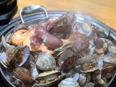 章鱼海鲜锅-东海章鱼馆(恒瑞街店)