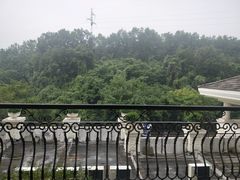 -随州碧桂园凤悦凤凰酒店