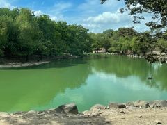 -上海野生动物园