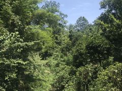 -凤栖山