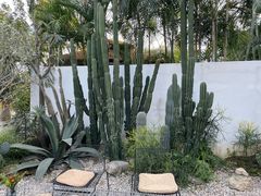 -自由生长植物工作室(深港花卉中心店)