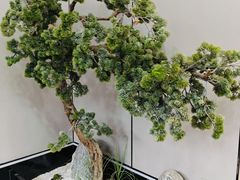 -张刚酒楼(春晓馨苑店)