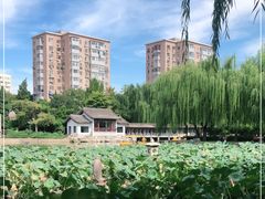 -团结湖公园
