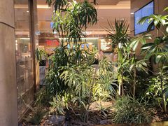 -左庭右院鲜牛肉火锅(浦江欢乐颂店)