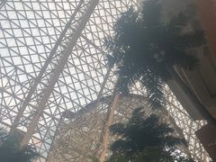 -环球中心海洋乐园